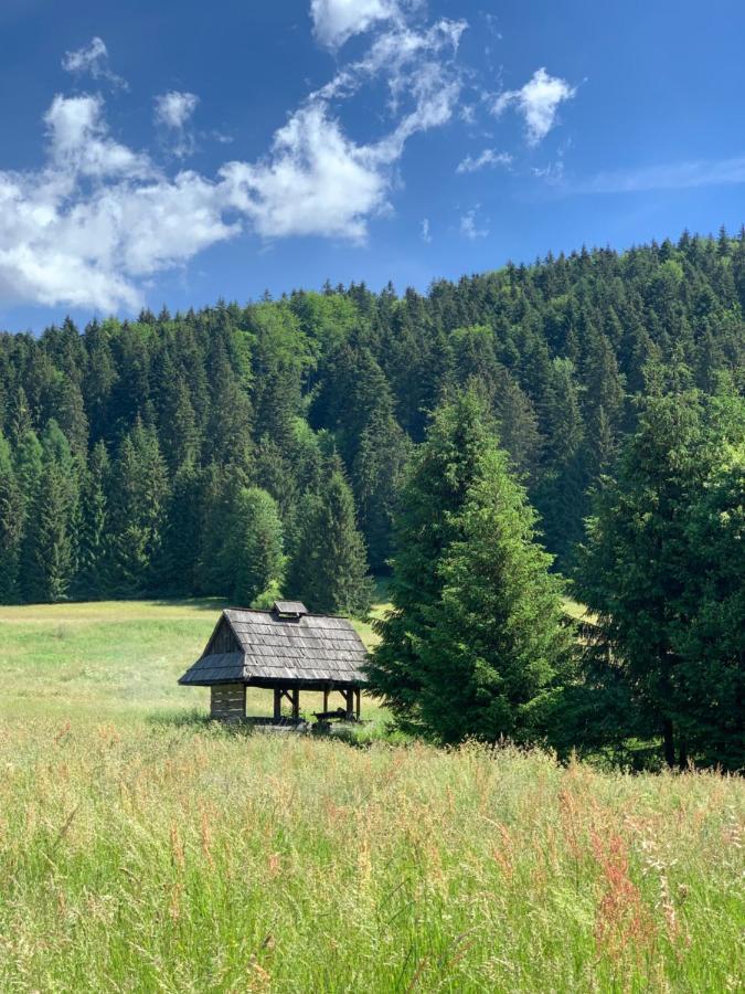 Apartmán JUH Tale Esterno foto